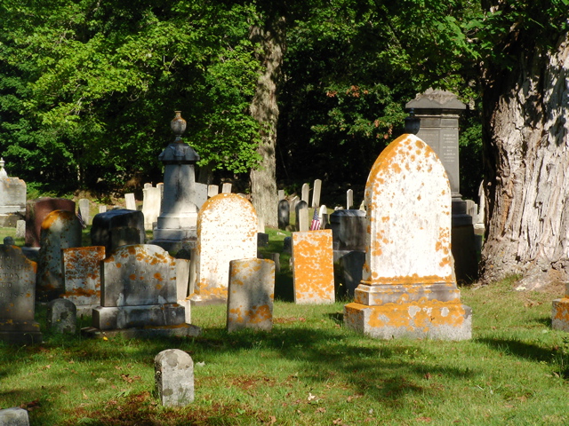 SANY0341.JPG