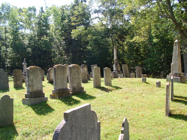 SANY0339.JPG