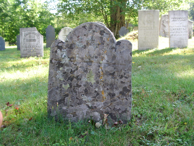 SANY0338.JPG