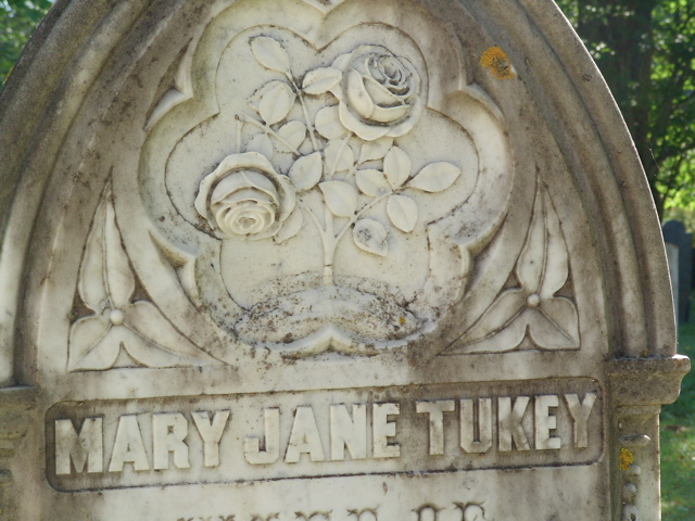 SANY0337.JPG