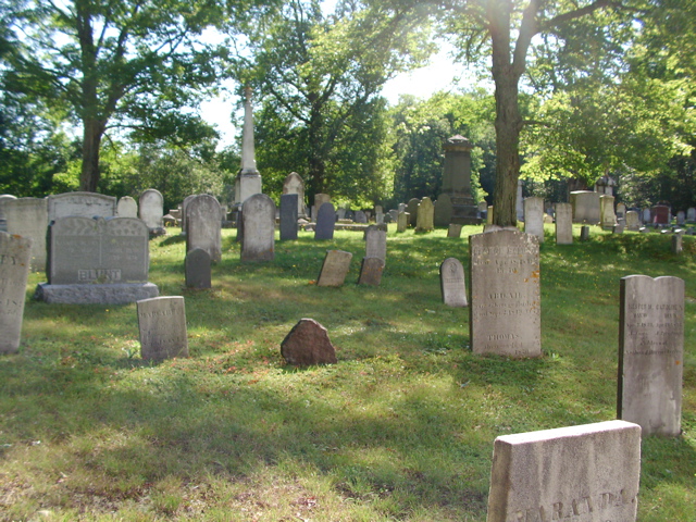 SANY0335.JPG