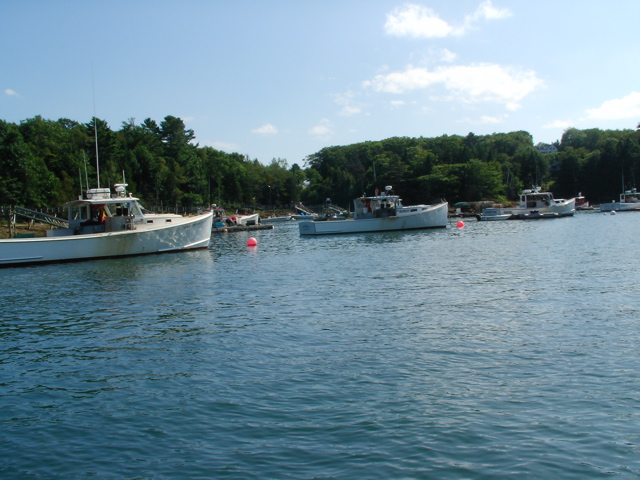 SANY0307.JPG