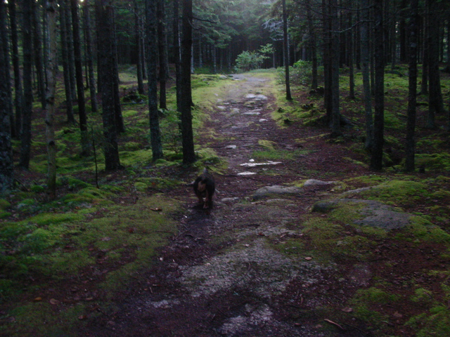 SANY0293.JPG