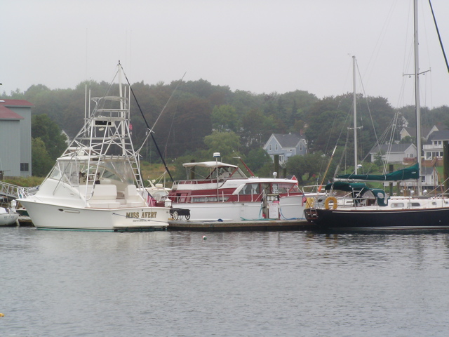 SANY0231.JPG