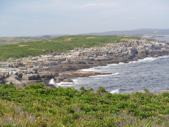 SANY0220.JPG