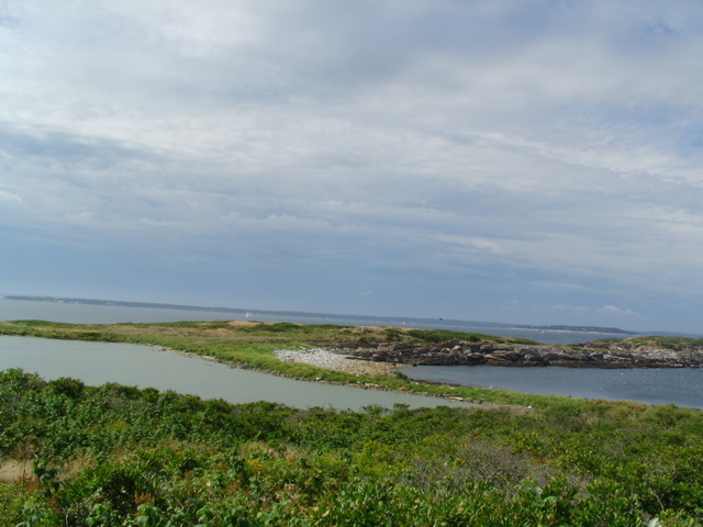 SANY0216.JPG