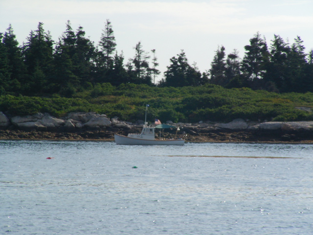 SANY0451.JPG