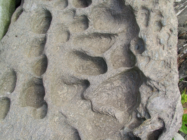 SANY0209.JPG