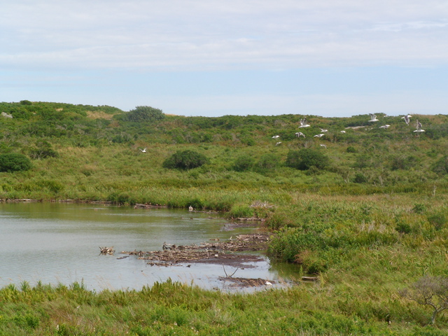 SANY0208.JPG