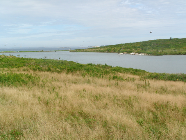 SANY0207.JPG