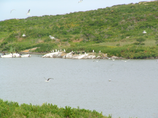 SANY0206.JPG