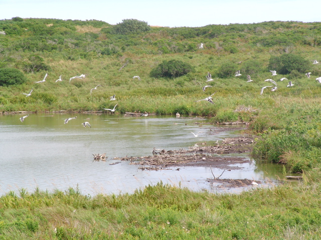 SANY0205.JPG