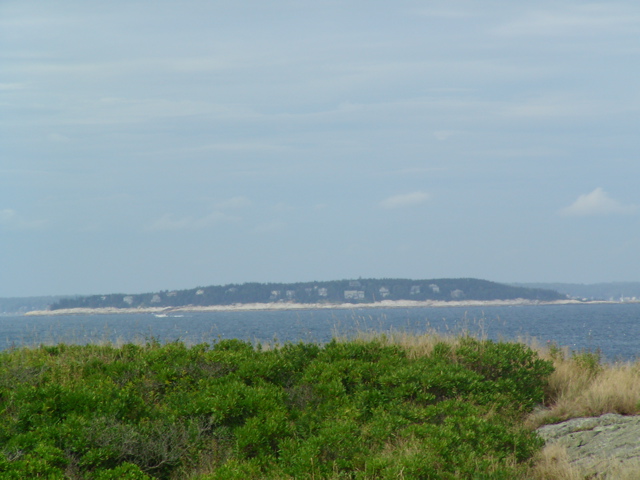SANY0202.JPG