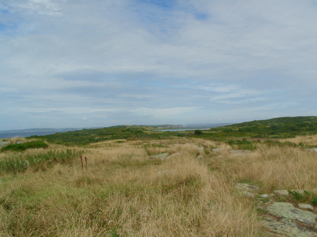 SANY0201.JPG