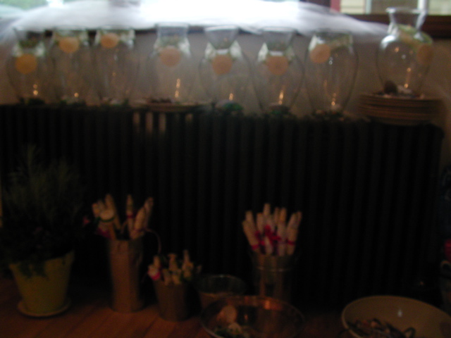 SANY0041.JPG