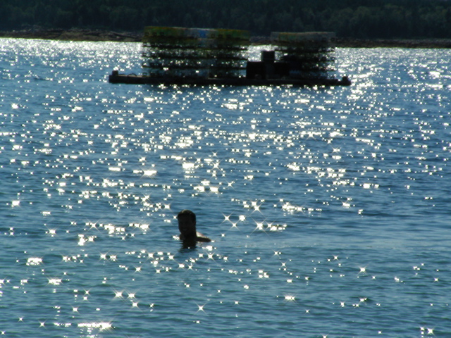 SANY0430.JPG
