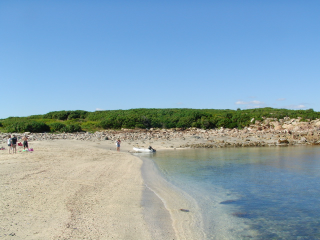SANY0428.JPG