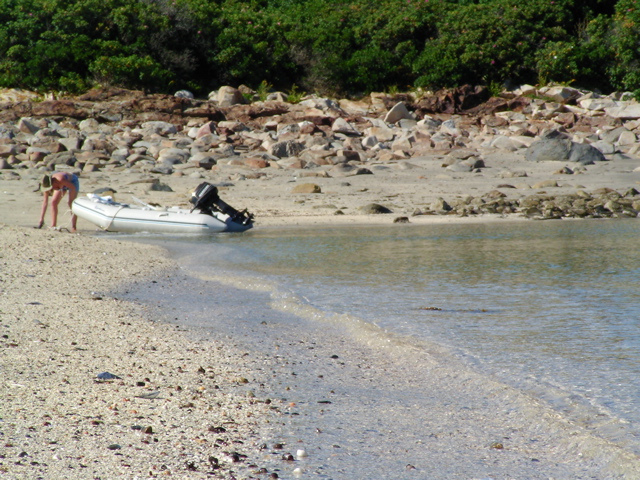 SANY0427.JPG