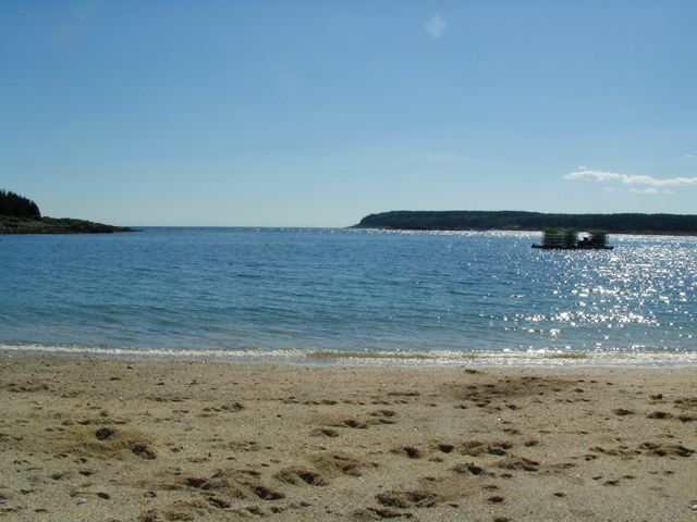 SANY0423.JPG