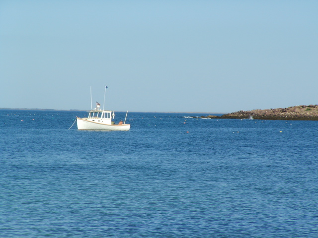 SANY0420.JPG