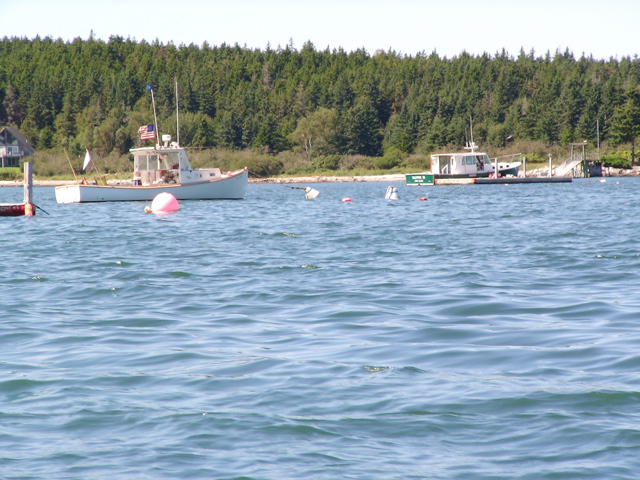 SANY0411.JPG