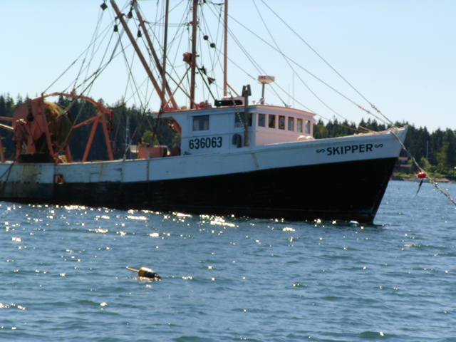 SANY0407.JPG