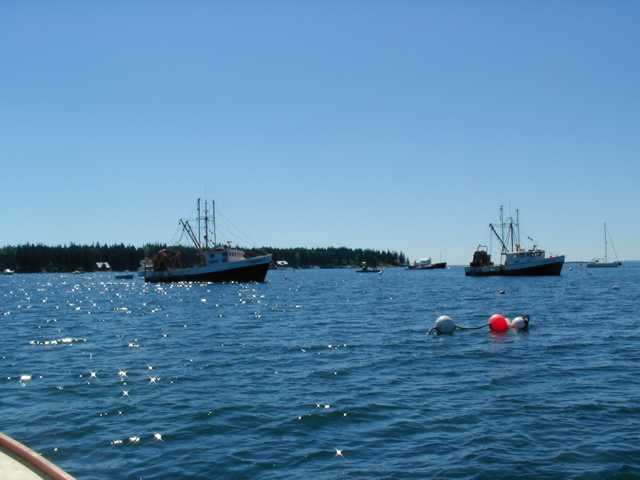SANY0406.JPG