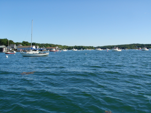 SANY0401.JPG