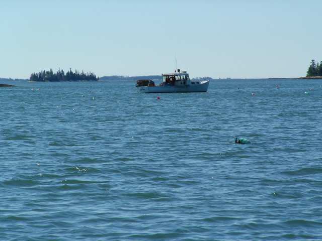 SANY0396.JPG