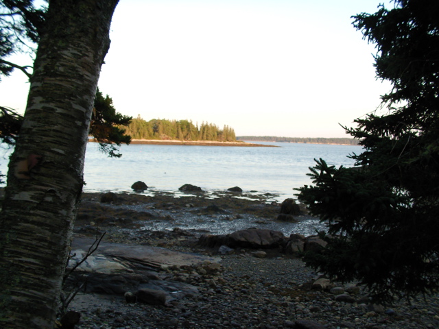 SANY0392.JPG