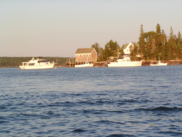 SANY0388.JPG