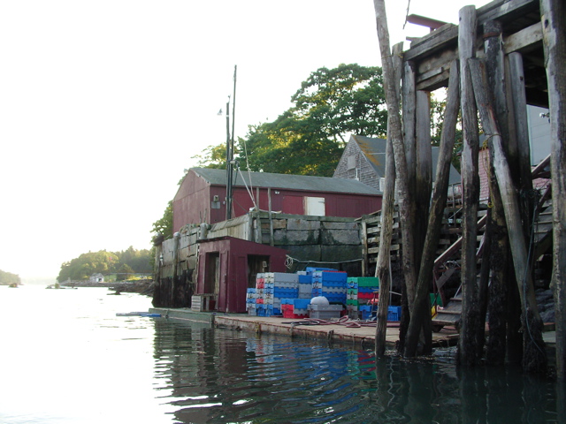 SANY0371.JPG