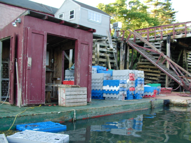 SANY0370.JPG