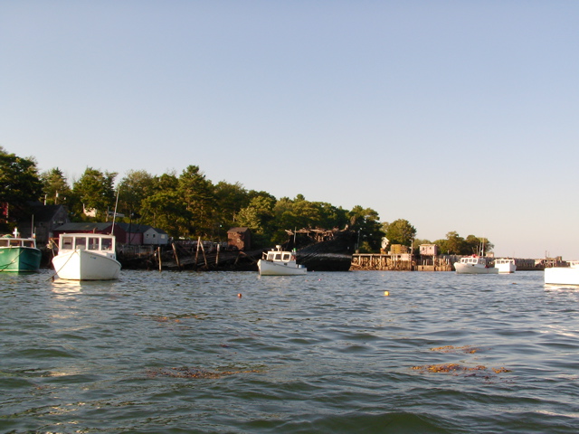 SANY0364.JPG