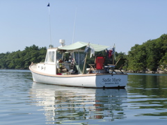 SANY0346.JPG