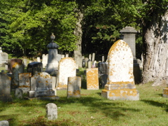SANY0341.JPG