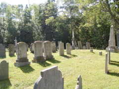 SANY0339.JPG