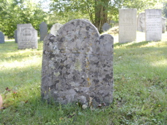 SANY0338.JPG