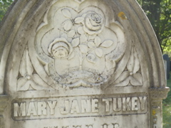 SANY0337.JPG