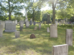 SANY0335.JPG