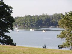 SANY0333.JPG