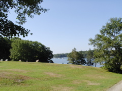 SANY0332.JPG