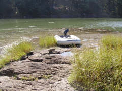 SANY0331.JPG