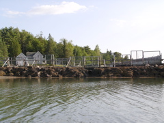 SANY0313.JPG