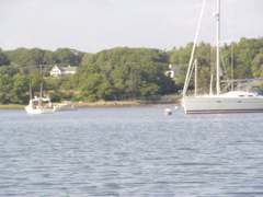 SANY0309.JPG