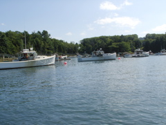 SANY0307.JPG