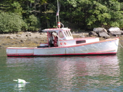 SANY0306.JPG