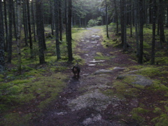 SANY0293.JPG