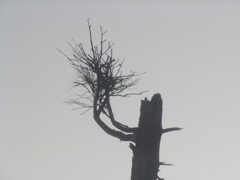 SANY0292.JPG