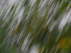 SANY0280.JPG